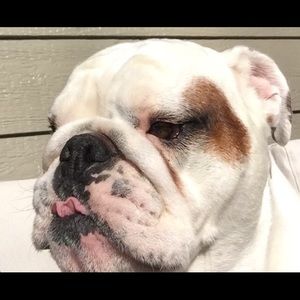 Meet your Posher, Xander